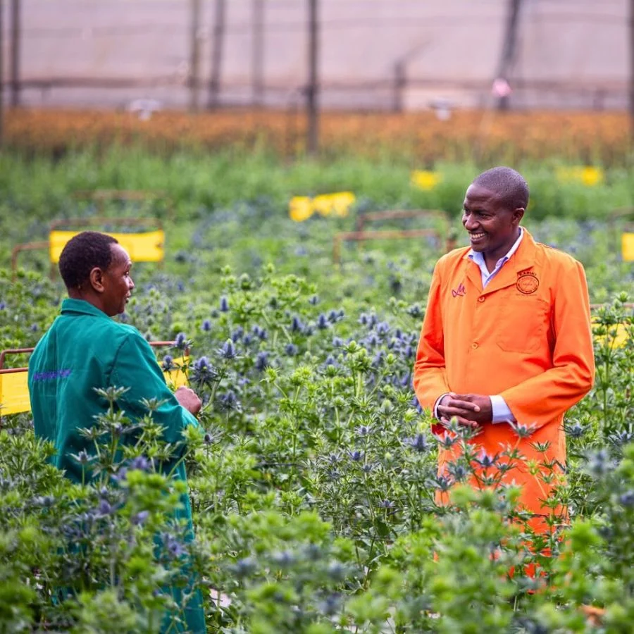 Two farmers in colorful work attire engage in conversation amidst a lush field of flowering plants.
