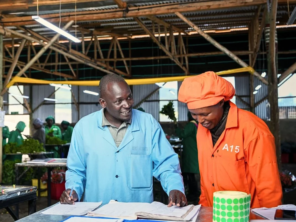 Two workers in a greenhouse collaborate over paperwork, showcasing teamwork and productivity in a vibrant agricultural setting.