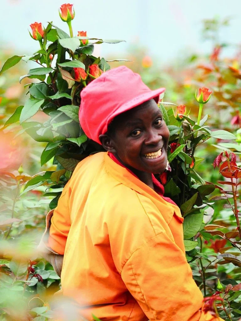 A smiling woman in an orange shirt and pink hat carries a bundle of roses in a vibrant flower field.