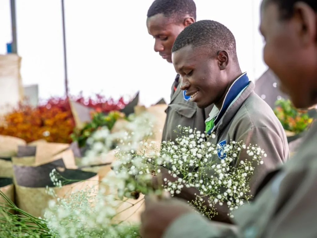 Three workers carefully arrange delicate flowers in a vibrant floral workshop filled with colorful blooms.