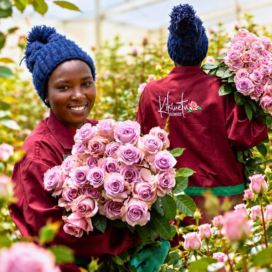 A smiling woman in a maroon jacket holds a large bouquet of pink roses in a flower greenhouse.
