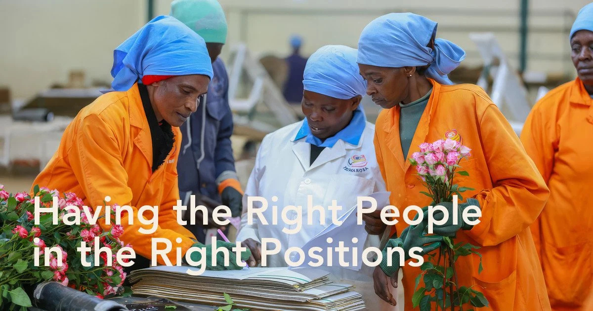 Workers in a flower farm collaborate on tasks, emphasizing the importance of skilled personnel in agriculture.